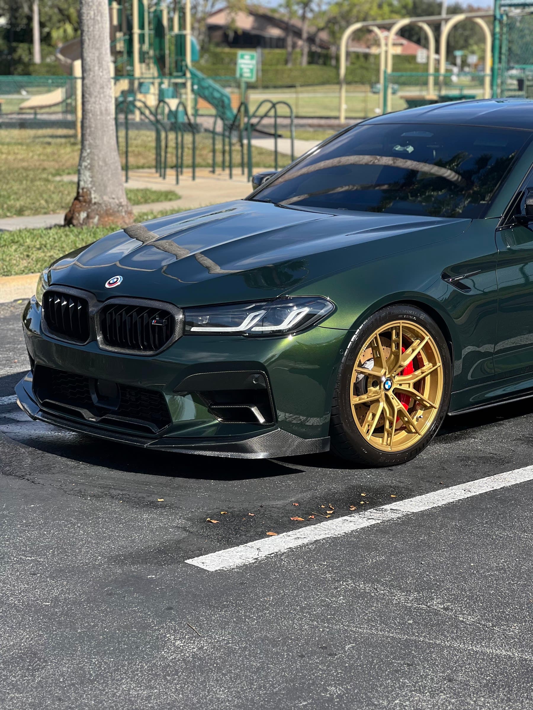 Ceramic coating gloss on a detailed vehicle